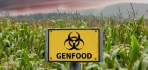 gmo_crops_genfood_735_350-400x190