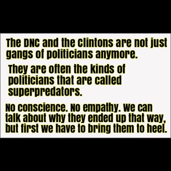 13183292_1607929732854545_14393996_n